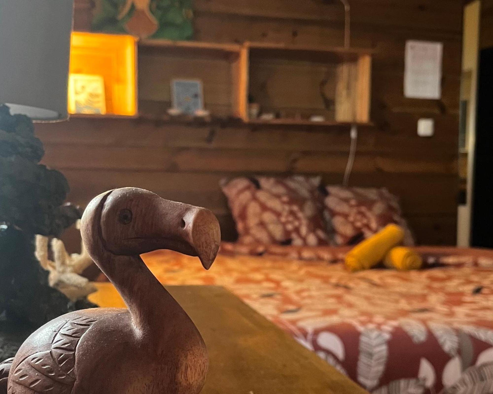 Dodo House Auberge De Jeunesse Сен-Лу Екстериор снимка
